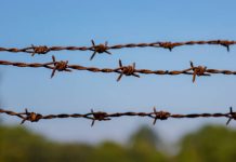 Fencing Finchley – Professional Garden Fencing & Gate Installation by MGF Fencing experienced fencing contractors in Finchley